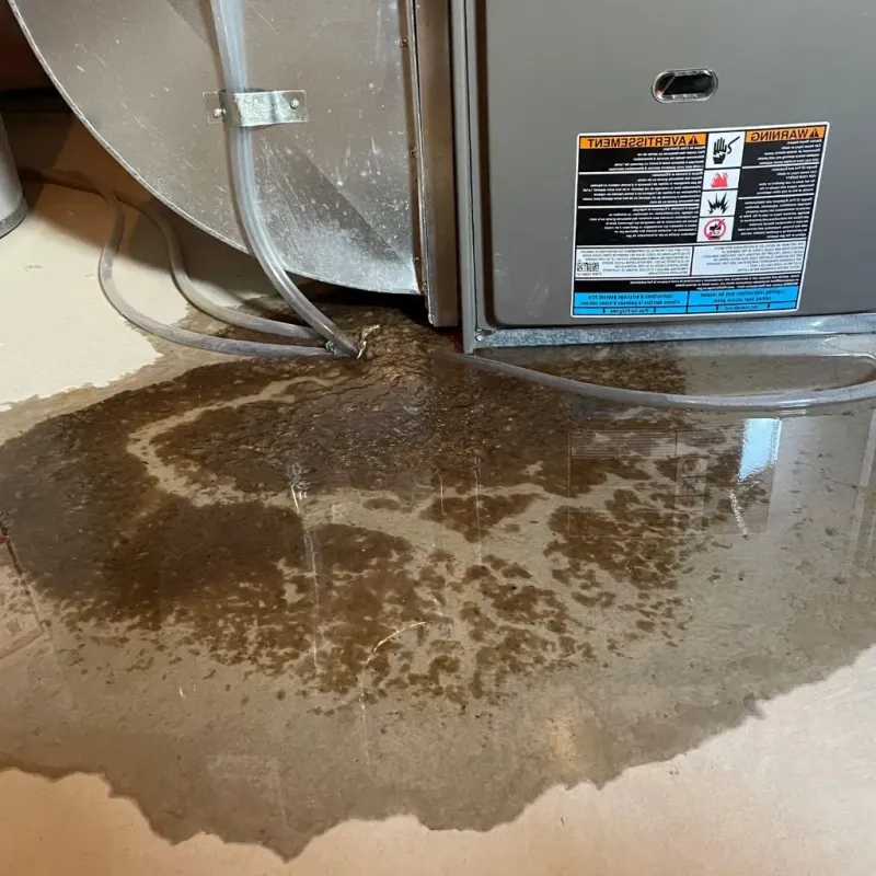 Pipe Burst and Leak Restoration in Stratmoor, CO