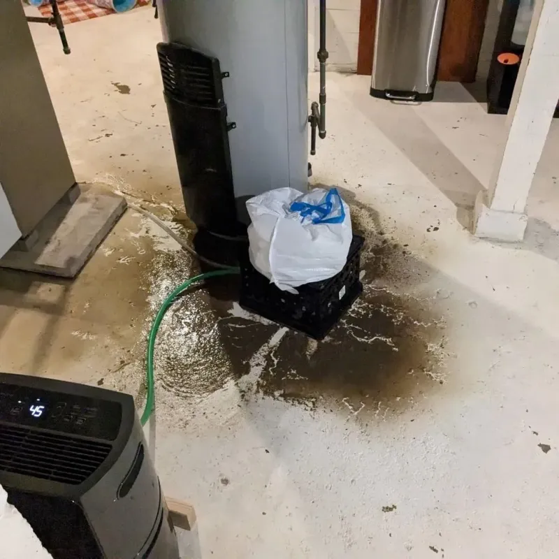 Sewage Backup Cleanup Service in Stratmoor, CO